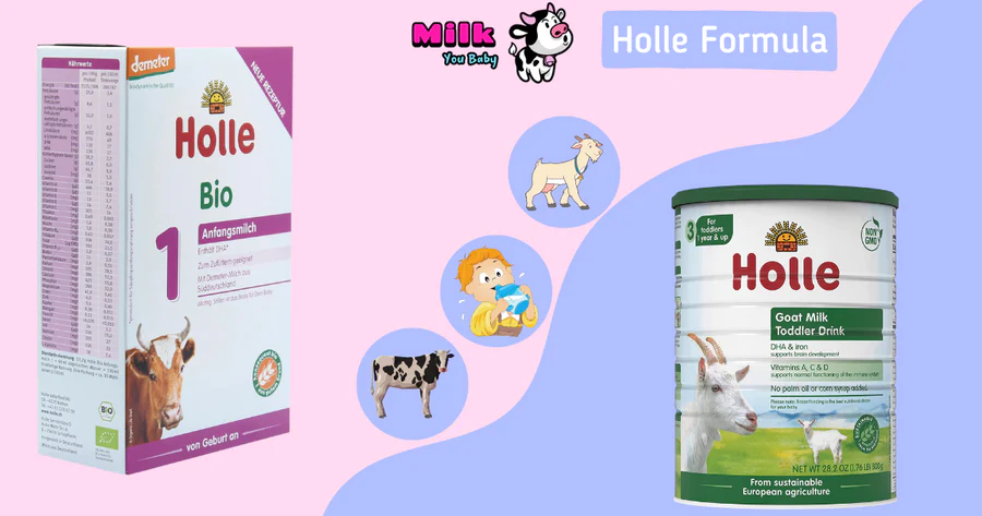 Where you can buy Holle Formula?