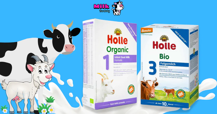 Read more about the article All You Need To Know About Holle Formula: A Comprehensive Guide