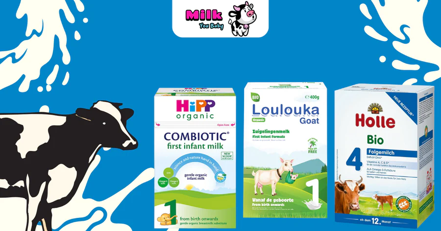 Read more about the article HiPP Organic Formula: A Study of Baby Need