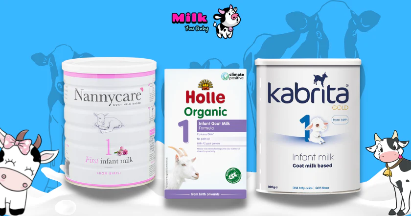 Read more about the article Best Goat Milk Powder for Babies