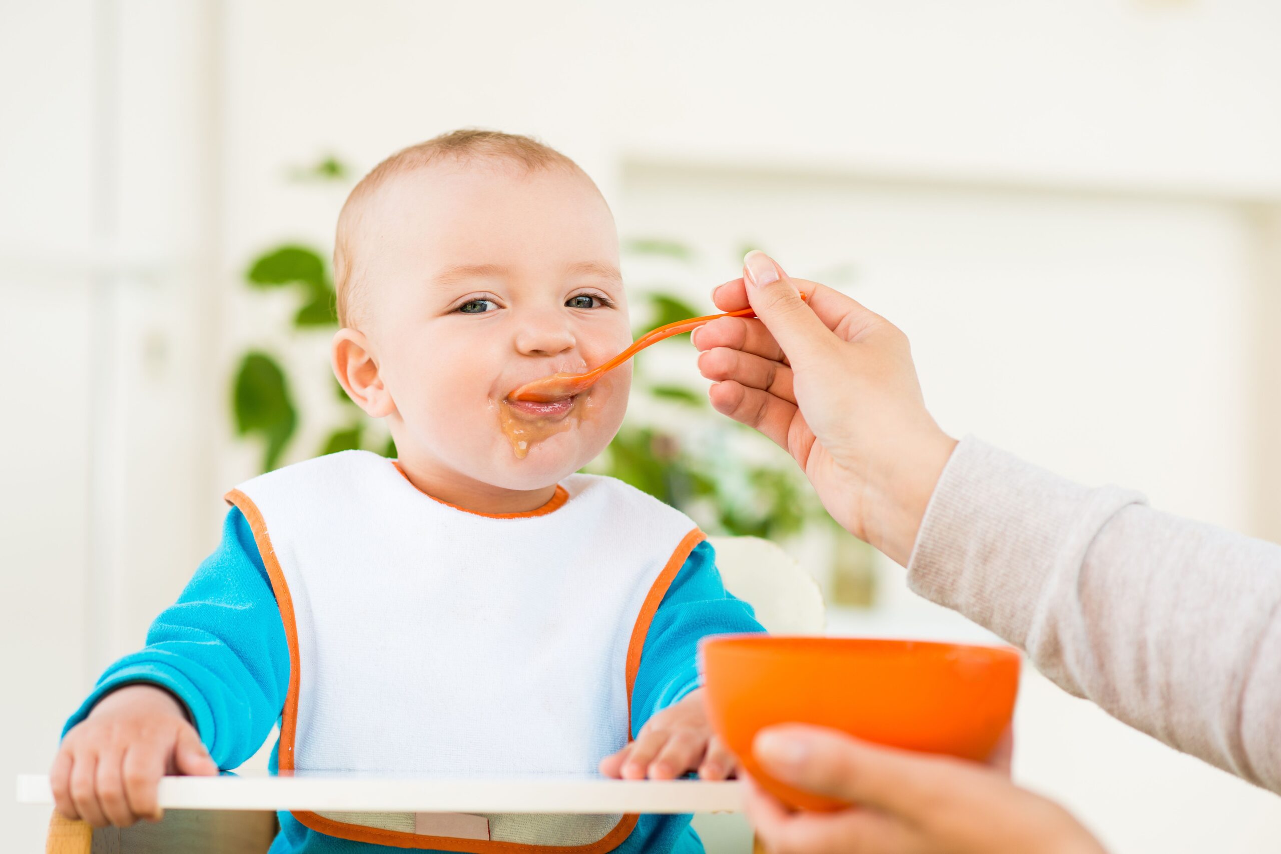 Baby Led Weaning and Baby Food Seasoning