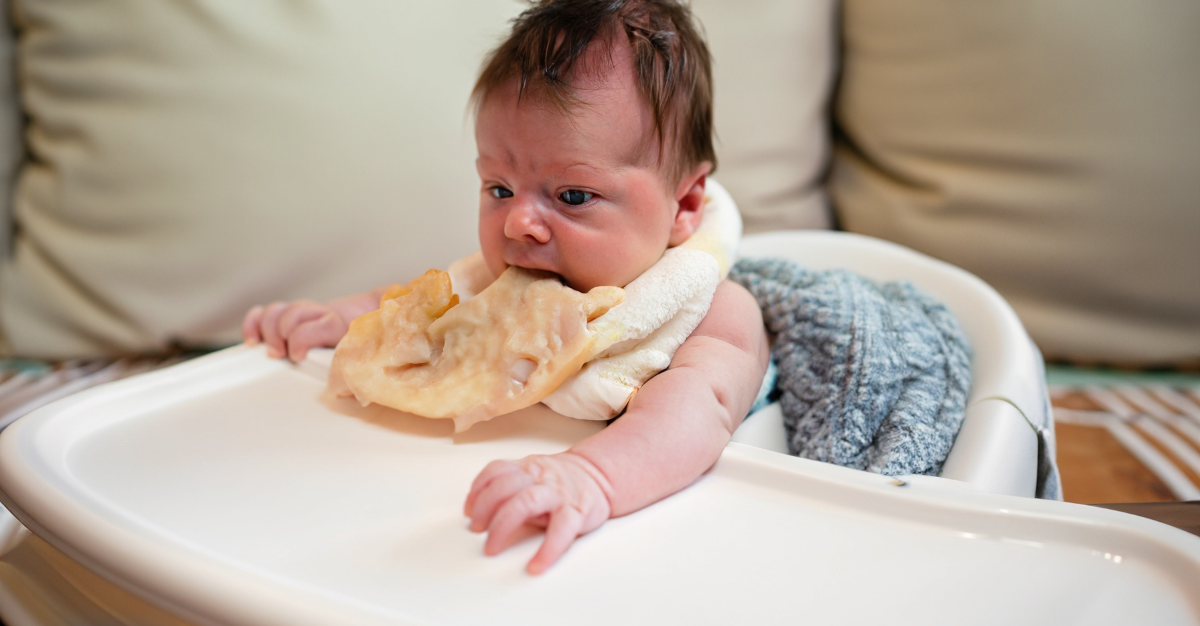 Read more about the article The Ultimate Guide to Baby-Led Weaning: A Journey of Self-Feeding