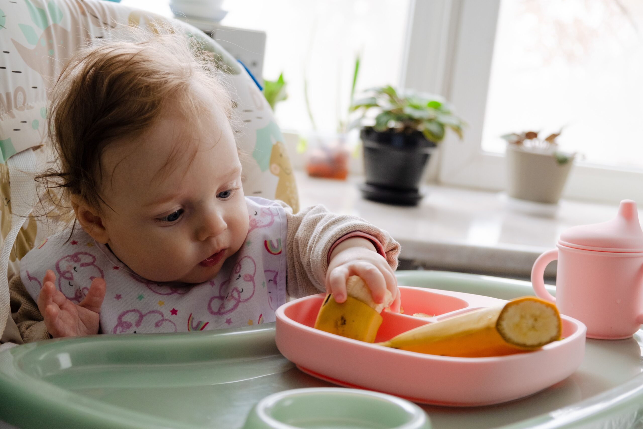 Read more about the article A comprehensive Baby-led weaning equipment checklist